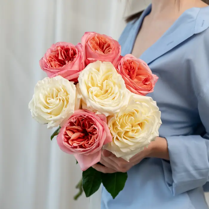 7 роз Кендл Лайт, съёмка 27 апреля 2025