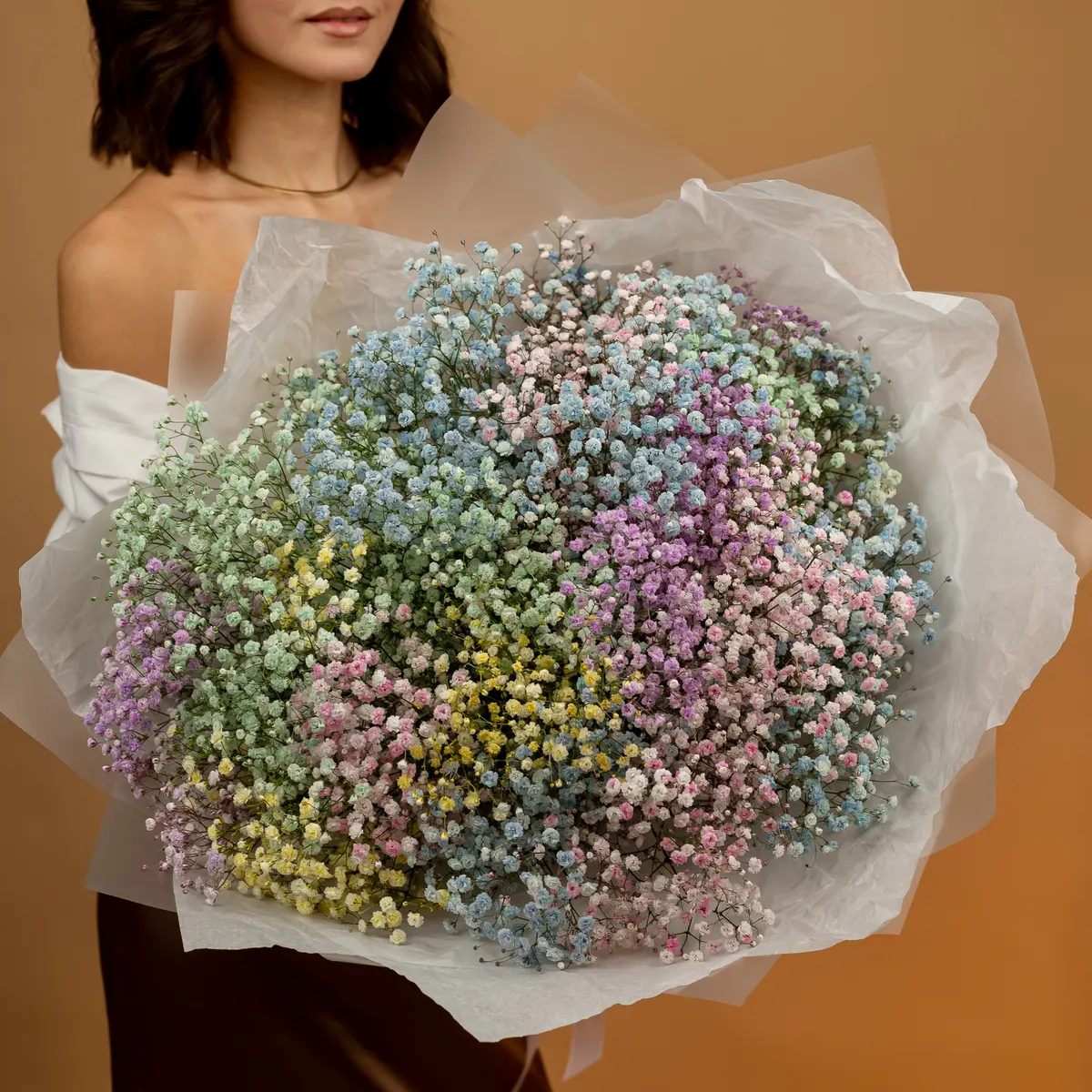 Гипсофила радужная 25 шт, ракурс 1 из 7