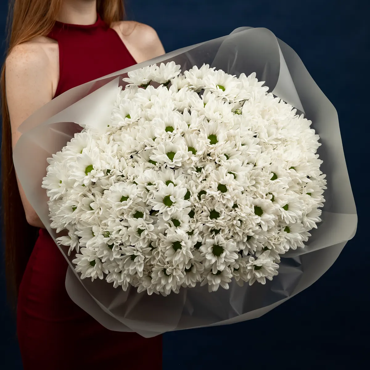 Хризантема (сорт бакарди) 25 шт, ракурс 1 из 7